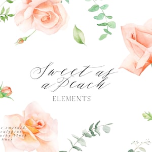 Puede incluir: Ilustración de acuarela de rosas de color melocotón y hojas de eucalipto con el texto "Sweet as a Peach Elements" y la frase "simple esmeralda, eucalipto y tonos de rubor melocotón".