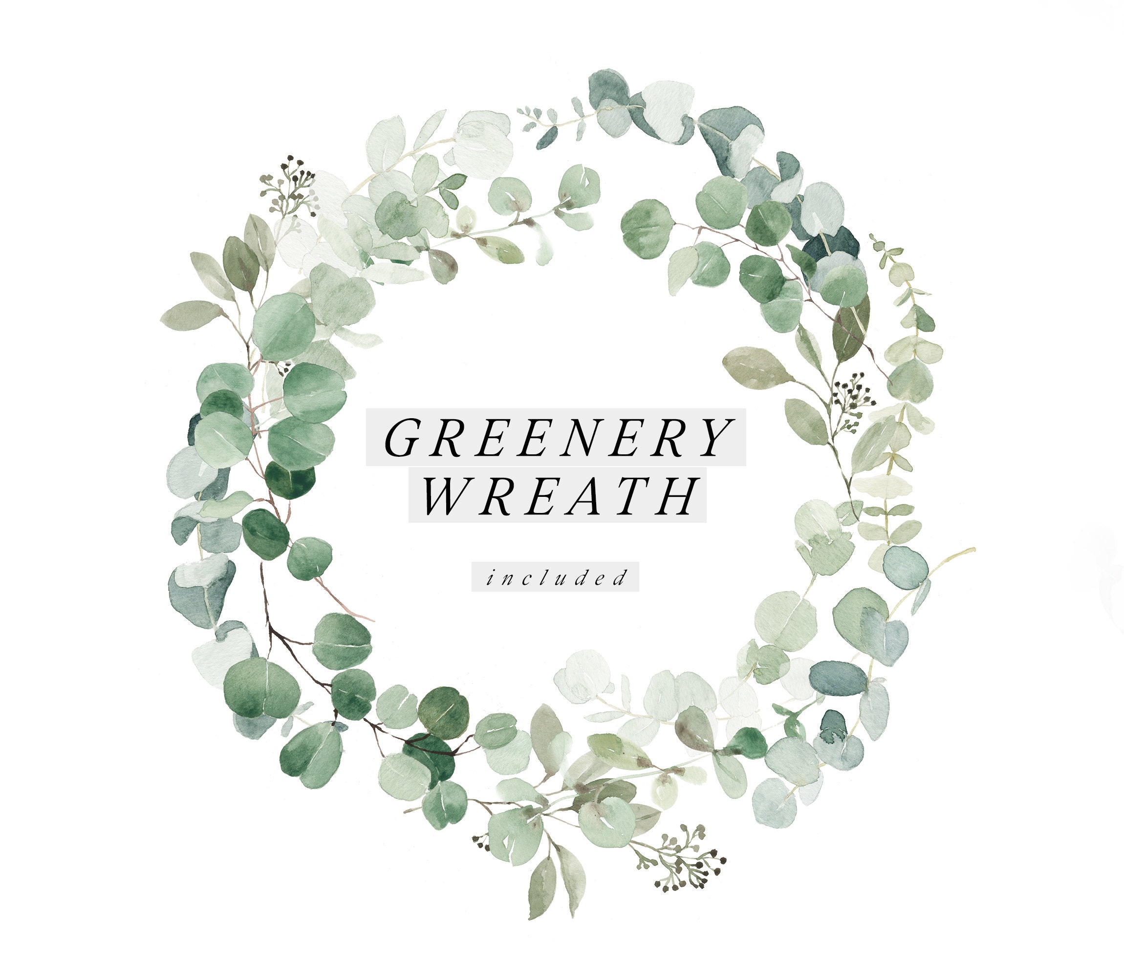 Watercolor Eucalyptus Clipart - Baby Blue Eucalyptus - Greenery Clipart ...