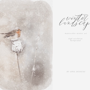 Winter Woodland Clipart - Fondo de invierno - Arte de invierno - Clipart de Navidad - Woodland Bird - Woodland Christmas - Bird Clipart - Bird