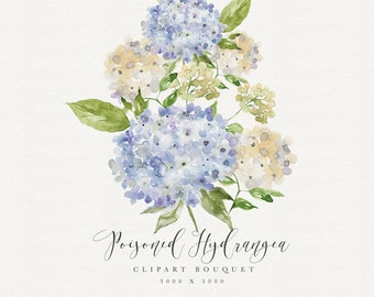 Hydrangea Watercolor Clipart - Hydrangea Bouquet - Stationary arrangement - Hydrangea illustration - Blue Hydrangea Watercolor