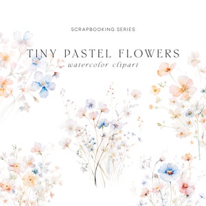 Clipart floral pastel minúsculo - Clipart aquarela - Clipart floral aquarela - Clipart de casamento - Clipart de scrapbooking - Clipart pré-fabricado