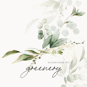 May include: Watercolor illustration of greenery with gold accents. The illustration features leaves, branches, and sprigs in shades of green and white. The text "WATERCOLOR SET greenery" is written in black at the bottom of the image.
