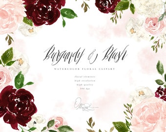 Może przedstawiać: Akwarelowa grafika wektorowa z kwiatami, przedstawiająca bordowe i różowe róże, białe kwiaty i zielone liście. Tekst "Burgundy & Blush" jest napisany elegancką czcionką. Dodatkowy tekst zawiera "watercolor floral clipart", "floral elements", "high resolution", "high quality" i "300 dpi".