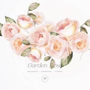 Aquarell Rose Clipart - Garten Rosen - Rosen Clipart - Hochzeit Clipart - Rosen - Garten Clipart - Vorgefertigte Rosensträuße - Aquarell Art