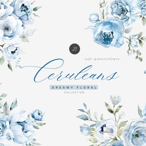 Clipart floreale blu polveroso - Clipart floreale acquerello - Clipart Rose - Clipart floreale - Blu polveroso - Blu-Premade Clipart - Clipart di matrimonio