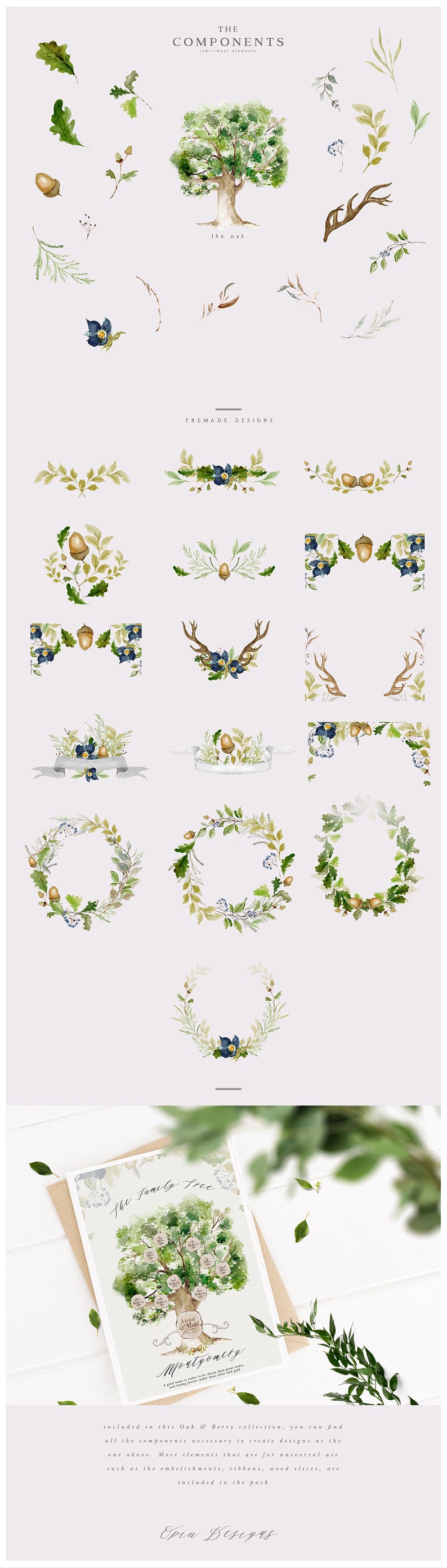 May include: Watercolor illustrations of oak leaves, acorns, berries, and antlers. The illustrations are in shades of green, brown, and blue. The text "The Family Tree" is written in a cursive font on a card with a watercolor illustration of a family tree.