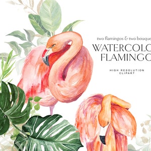 Aquarell Flamingo Clipart - Flamingo Aquarell - Tropisch Clipart - Exotisches Clipart - Flamingo Clipart - Tropischen Pflanzen - Monstera
