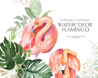 Watercolor Flamingo Clipart - Flamingo Watercolor - Tropical Clipart - Exotic Clipart - Flamingo Clipart - Tropical Plants - Monstera