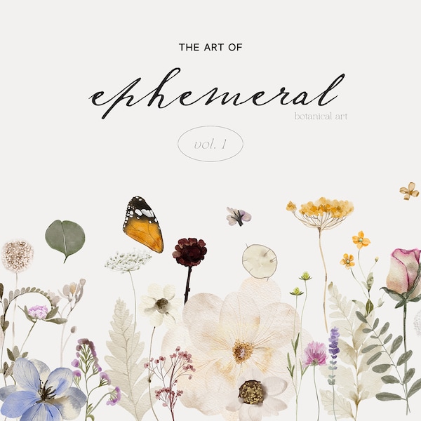 Geperst wilde bloemen clipart-bloemen clipart-wild sierlijke bloemen clipart-herbarium clipart-herbarium bloemen-geperste bloemen