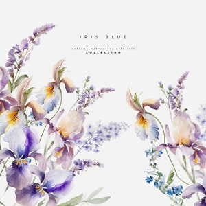 Wild Iris Aquarelle Clipart - Fleurs d’iris sauvages - Aquarelle Floral Clipart - Mariage Clipart - Printemps Clipart - Floral Clipart - Wild Iris