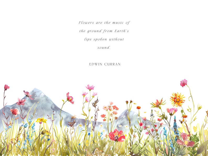 Meadow and Mountains Floral Borders - Wild Flowers Borders - Outdoors ...