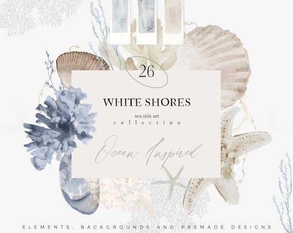 Watercolor Marine Clipart - Ocean Clipart - Coral Clipart - Sea Shell - Neutral Sea Watercolor - Moody Sea Clipart - Ocean Graphics