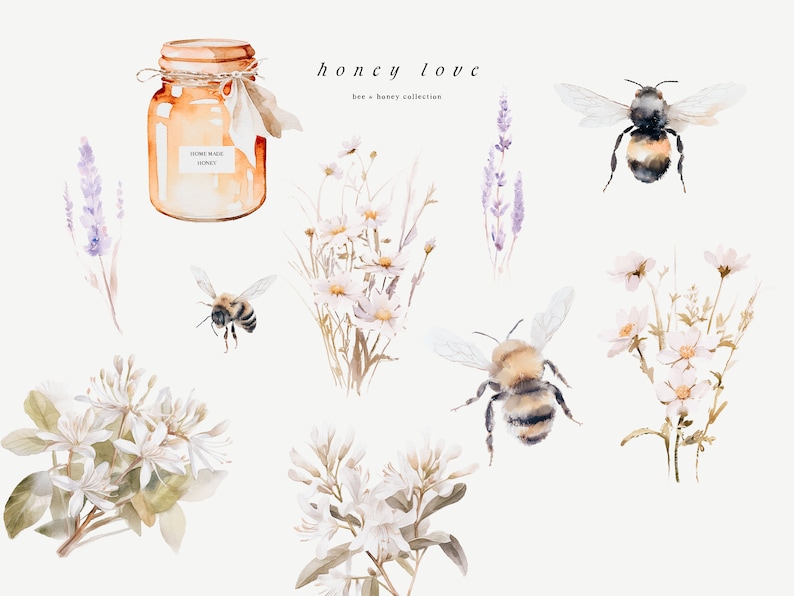 May include: Watercolor illustration of a honey jar, bees, and flowers. The jar is labeled "Home Made Honey". The text "honey love bee + honey collection" is written above the image.