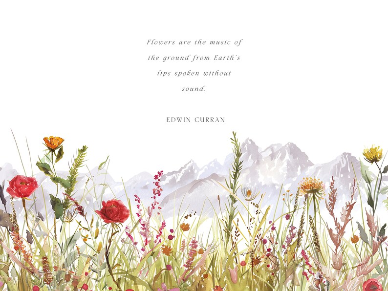 Meadow and Mountains Floral Borders - Wild Flowers Borders - Outdoors ...