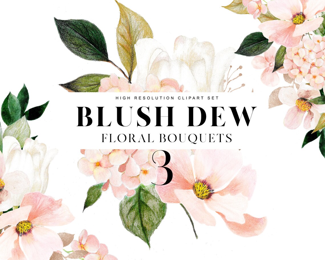 Watercolor Blush Clipart Watercolor Floral Clipart - Etsy