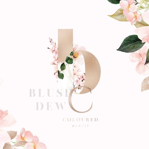 Blush Floral Clipart - Coloured Pencils, Watercolor Blush Flowers, Watercolor Hydrangea, Hydrangea Clipart, Spring Flowers Clipart, Spring