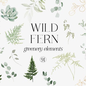 Clipart verdure aquarelle - Clipart Eucalyptus - Eucalyptus aquarelle - feuillage vert - Clipart verdure - Clipart mariage - Clipart fougère