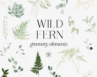Puede incluir: Una colección de 91 ilustraciones de acuarela de vegetación, incluyendo helechos, hojas de eucalipto, suculentas y ramitas. El texto "WILD FERN greenery elements" se muestra en el centro de la imagen.