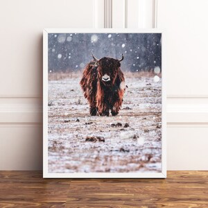 Yak Print Photography Animal Digital Art Printable Poster Wild Himalayan Animal Bovidae Photograph Snowy Wintery Landscape Animal Photo