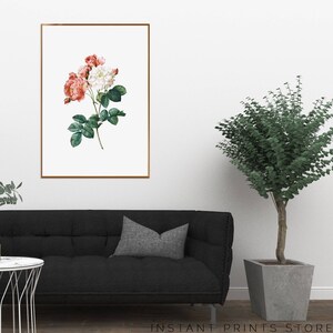 Red White Roses Print Art Rose Flowers Drawing Poster Printable Flower Floral Modern Home Wall Decor Artwork Downloadable
