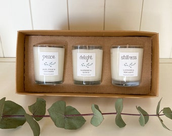 Aloe, Raspberry, Lavender Soy Candle Set - Set of 3 Candles - Soy Candle Gift Set - Vegan Candle Gift - New Home Gift - Minimalist Gift Set