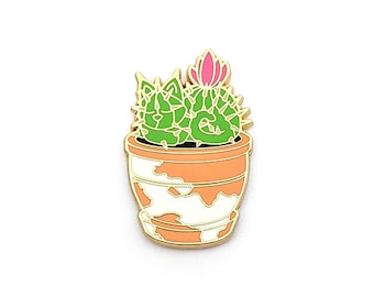 May include: A green cactus with a pink flower in a white and orange pot. The pot has a gold rim.
