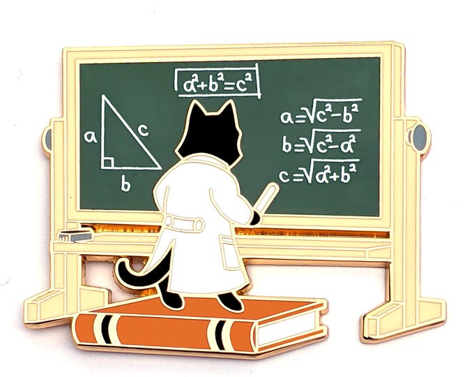 Geometry Cat Hard Enamel Pin - Math Cat Pin