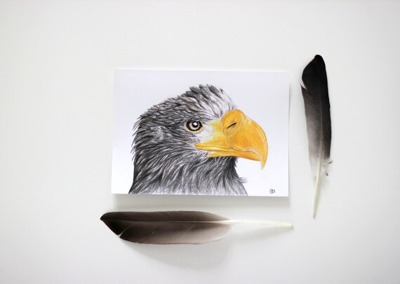 Dibujo original del águila: Realismo del lápiz de colores / - Etsy México Dibujo original del águila: Realismo del lápiz de colores / - Etsy México