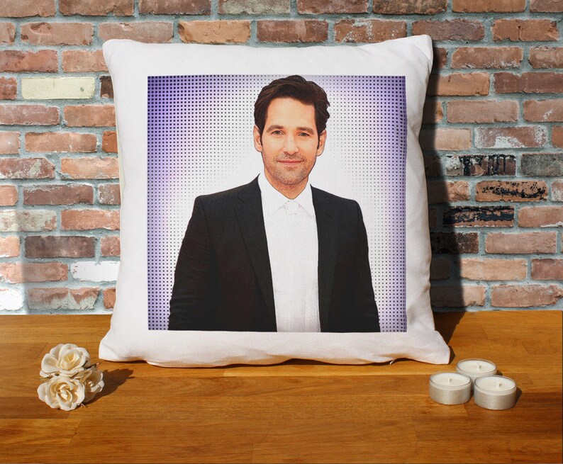 paul rudd pillow