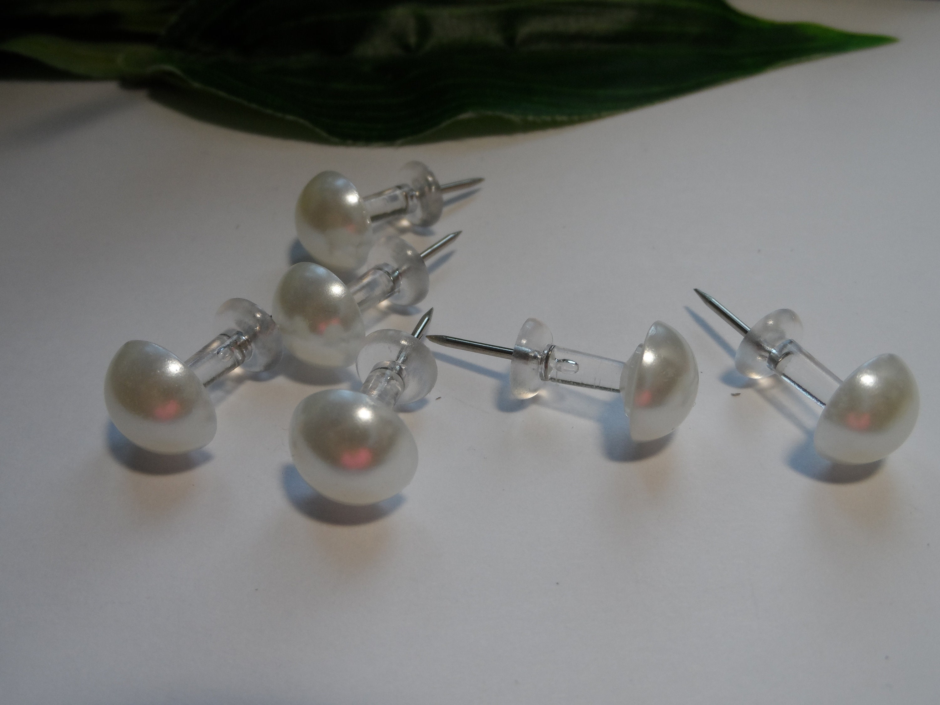 Pearl Push Pins, Novelty Push Pins, Decorative Push Pins, Novelty Push  Pins, Bridal Push Pins 