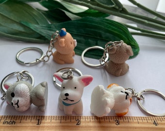 Sleutelhanger Met Fles Van Dierenhaar Als Aandenken, Herdenkingspotten
