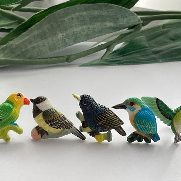 Bird Push Pins, Novelty Push pins, Decorative Push Pins, Novelty Push Pins, Bird Gifts,  Push Pins