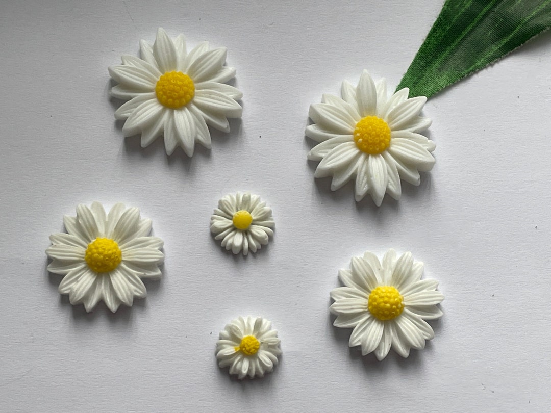 Set of 6 Daisy Daisy Fridge Locker