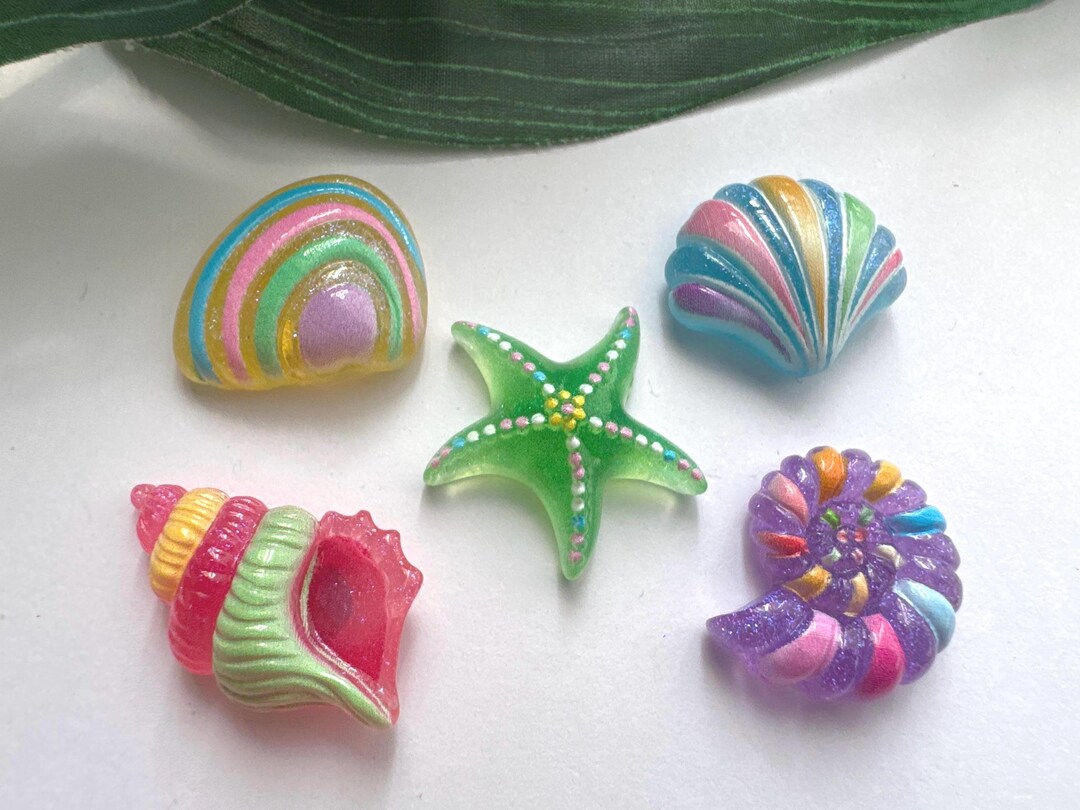 Set of 5 Shell Magnets, Shell Magnets, Fridge Magnets, Locker Magnets ...