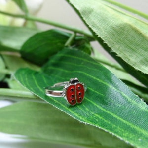 May include: A silver ring with a red and black ladybug design. The ring is on a green leaf.