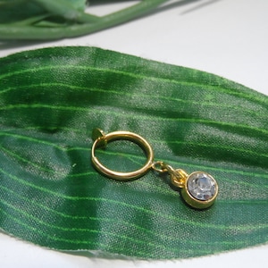 Könnte beinhalten: Ein goldfarbener Nasenring mit einem klaren Strassstein, der daran hängt. Der Ring liegt auf einem grünen Blatt.