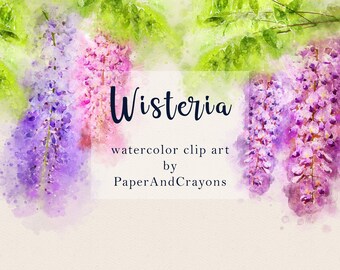 Wisteria Clipart Etsy