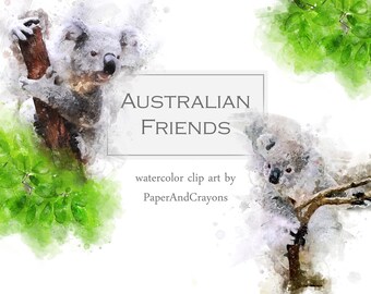 Australian Animal, Watercolor Clipart, Animal Clip Art, Animal Graphics, Koala, Kangaroo, Dingo, Emu, PNG, PaperAndCrayons, Digital Download