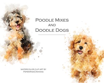 Watercolor Doodle Dog Clipart, Poodle Mix Graphics (Digital Download PNG)