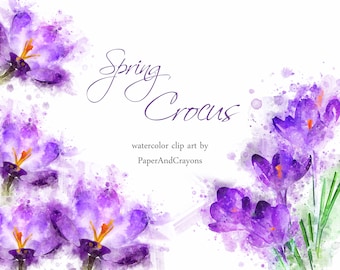 Crocus Floral Clipart, Spring Watercolor Clipart, Flower Clip Art, Saffron, Ocun Purple Graphics, Digital Scrapbook, Flowers PNG