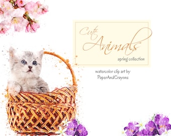 Spring Watercolor Animals, Cat Clipart, Rabbit Clip Art, Animal Graphics, Easter Bunny, Kitty, Flowers, PaperAndCrayons, Digital Download
