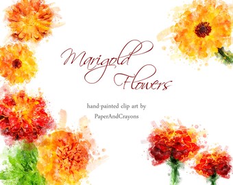 Marigold Floral Clipart, Summer Watercolor Clipart, Flower Clip Art, Red, Orange Graphics, Digital Scrapbook, Semitransparent Calendula PNG