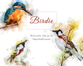 Watercolor Birdie, Bird Clipart, Birds Clip Art, Animal Graphics, Bluetit, Kingfisher, Hawfinch, Warbler, PaperAndCrayons, Digital Download
