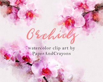 Orchids Floral Clipart, Summer Watercolor Clipart, Flower Clip Art White, Pink Graphics, Digital Scrapbook, Semitransparent Orchid PNG