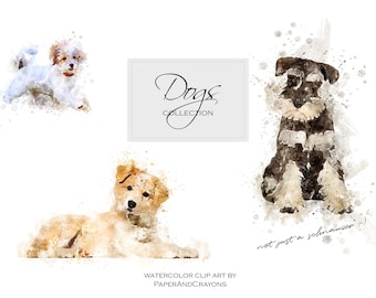 Watercolor Dogs, Dog Clipart, Puppy Clip Art, Animal Graphics, Schnauzer, Spaniel, PaperAndCrayons, Digital Download PNG