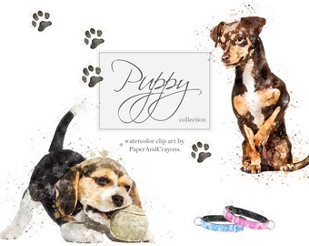 Cute Watercolor Puppies, Dog Clipart, Puppy Clip Art, Animal Graphics, Terrier, Chihuahua, Beagle, PaperAndCrayons, Digital Download, PNG