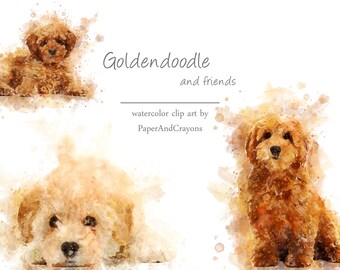 Watercolor Dog Clipart, Goldendoodle, Bernedoodle, Poochon (Digital Download PNG)