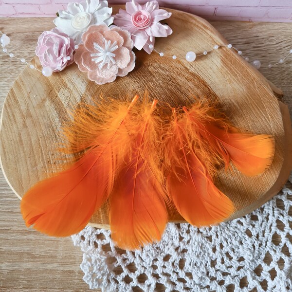 x20 Plumes orange 5-12cm