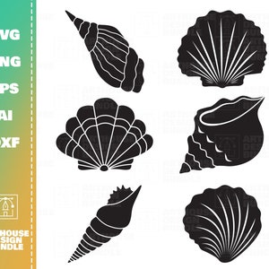 Könnte beinhalten: Satz mit sechs schwarzen Silhouette-Illustrationen von Muscheln. Die Muscheln sind in verschiedenen Formen und Größen, darunter eine Jakobsmuschel, eine Conch und eine Spiralmuschel.