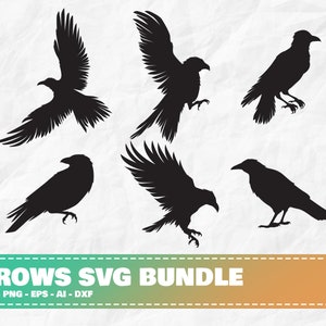 Crow SVG Bundle, Crow Clipart Bundle, Crow PNG Bundle, Raven svg, Raven Clipart, Crow Cut File, Flying Crow svg, Scavenger Bird svg